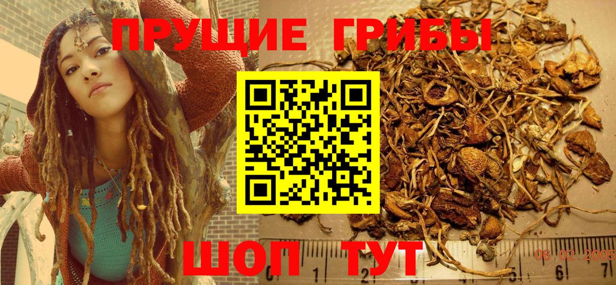 Псилоцибиновые грибы мицелий  Галлюциногенные грибы GOLDEN TEACHER  Старый Оскол  Вход с VPN 