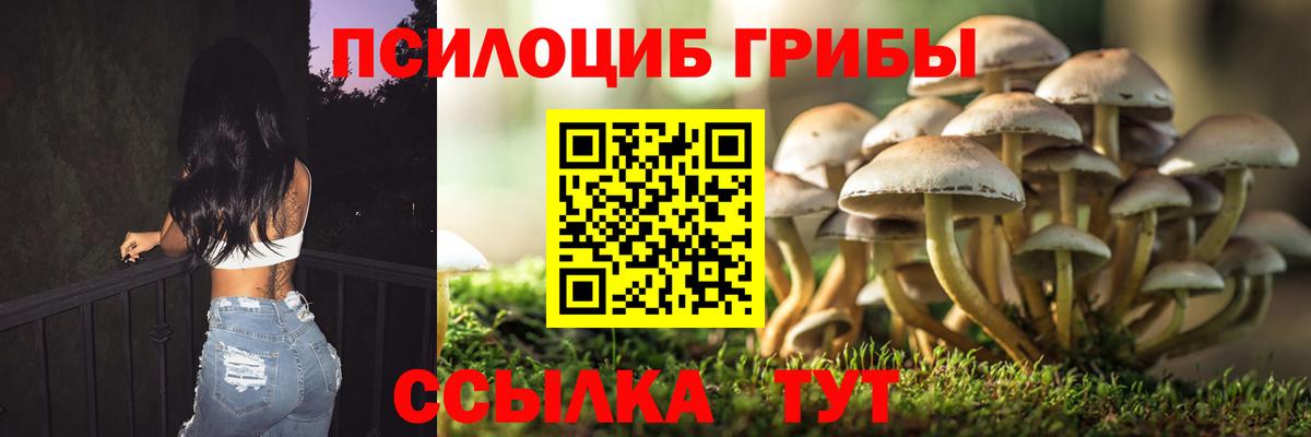Галлюциногенные грибы Cubensis Старый Оскол