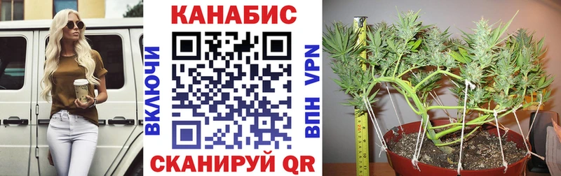 закладки  Старый Оскол  blacksprut ссылка  Каннабис ГИДРОПОН 